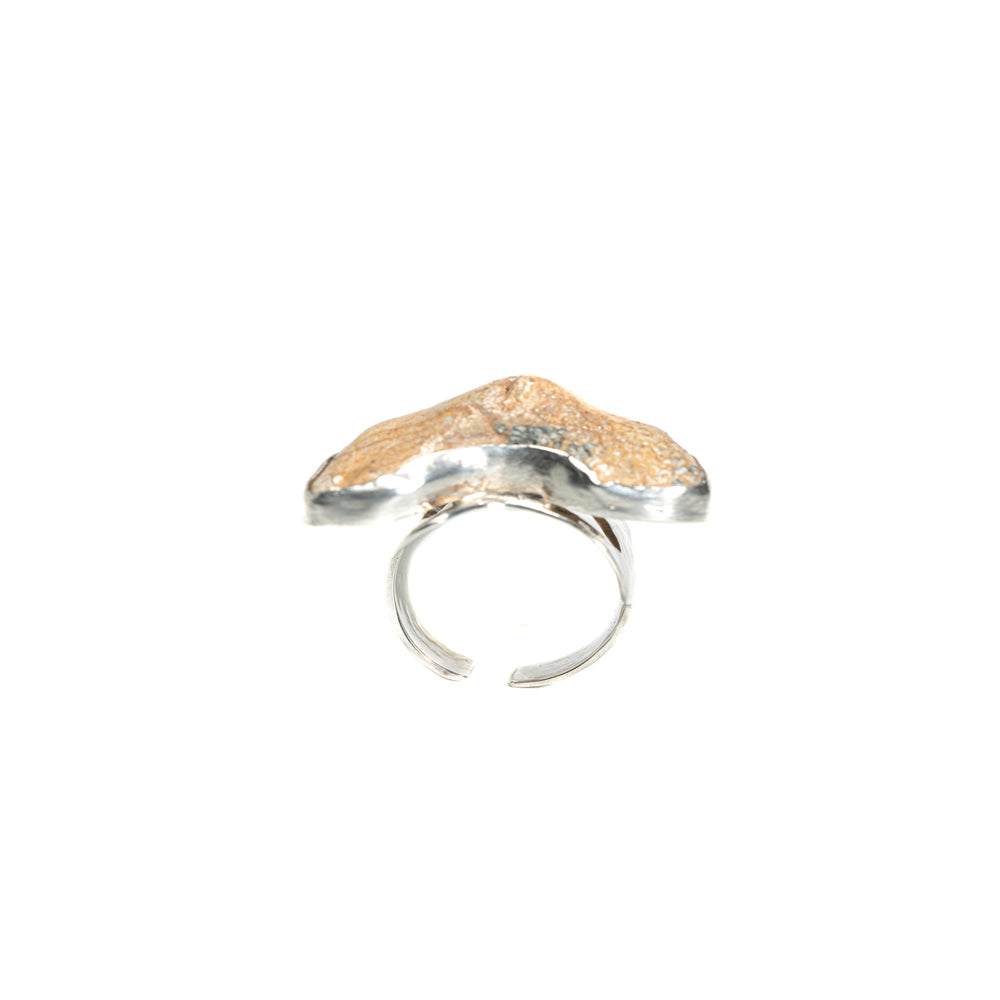 Great White Shark Tooth Ring — 2020